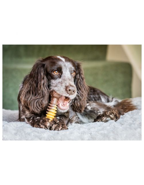 Nylabone Extreme Chew Textured Bone Beef & Cheese Kaas&Rund - Hondenspeelgoed