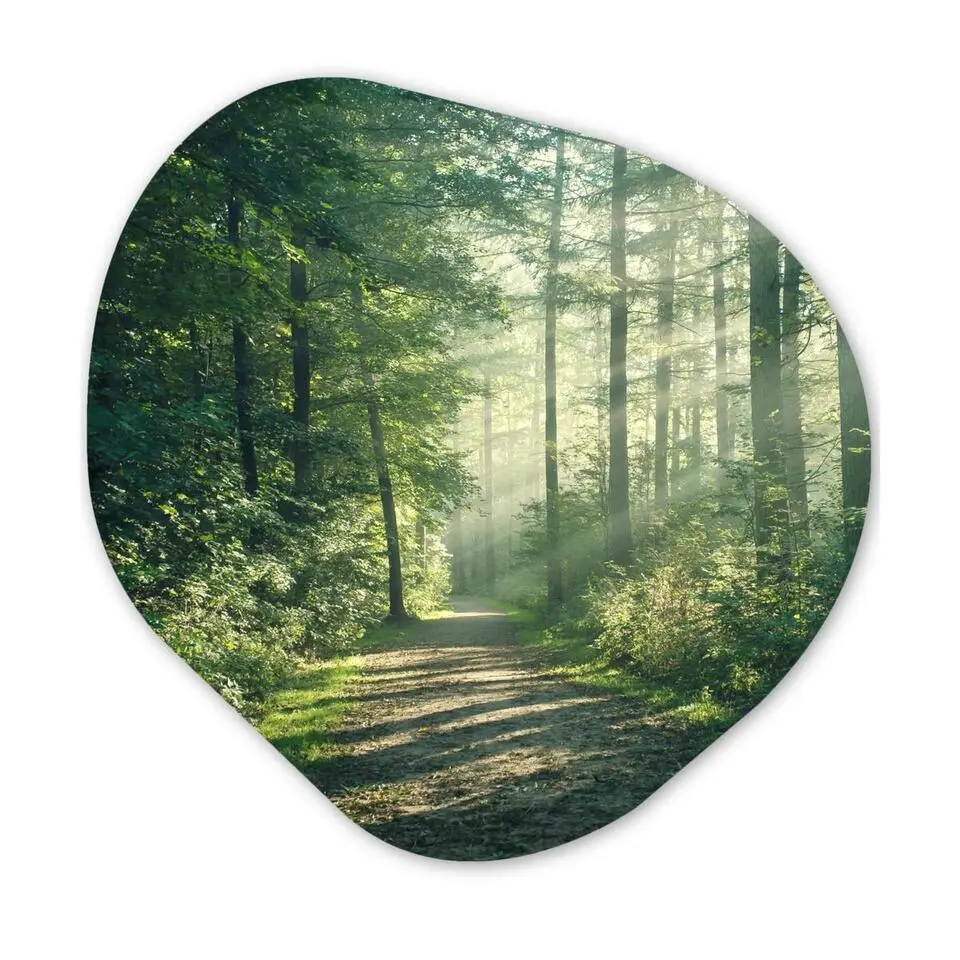 MuchoWow Wand decoratie 40x40cm Bos Pad Zon Bomen Groen