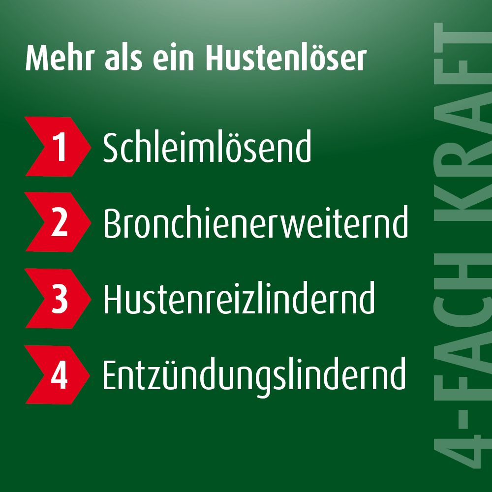 Prospan® Hustenliquid, für Erwachsene