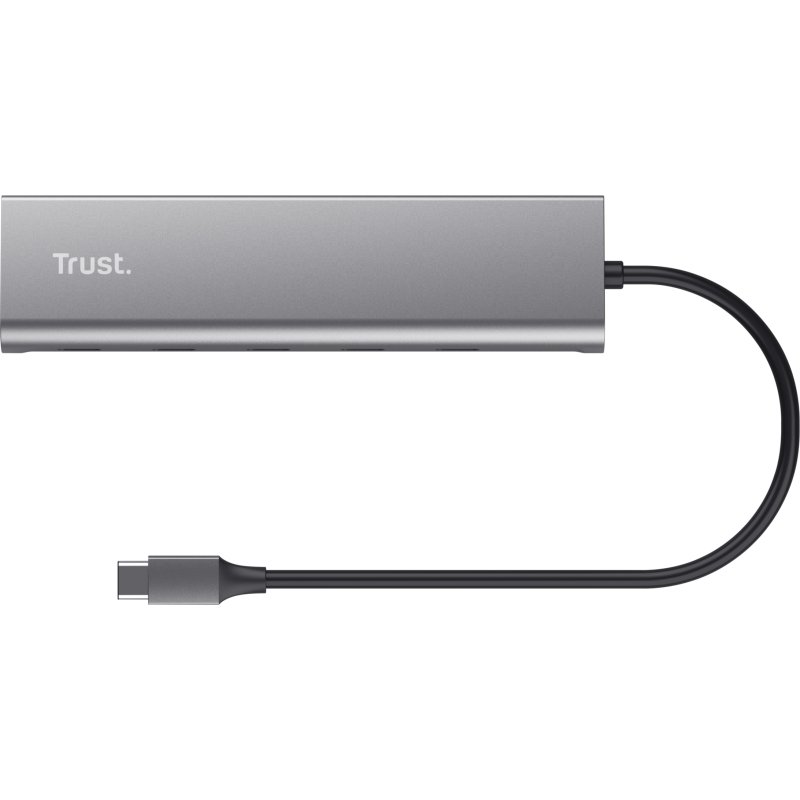 Trust Halyx USB 3.2 Gen 1 (3.1 Gen 1) Type-C Argent