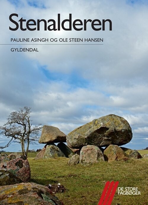 Stenalderen - Ole Steen Hansen - Bog