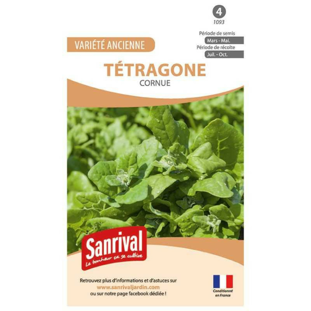 Graines de tetragone