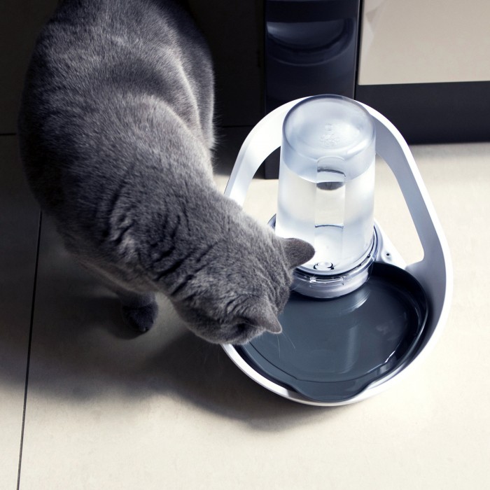 Distributeur d'eau Felaqua Connect