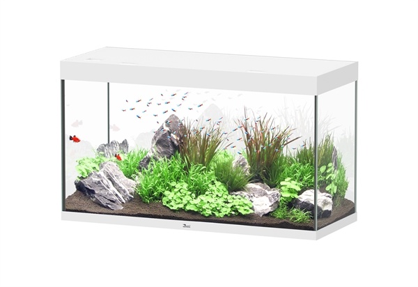 Aquatlantis Sublime 120x50 aquarium | Gloednieuw