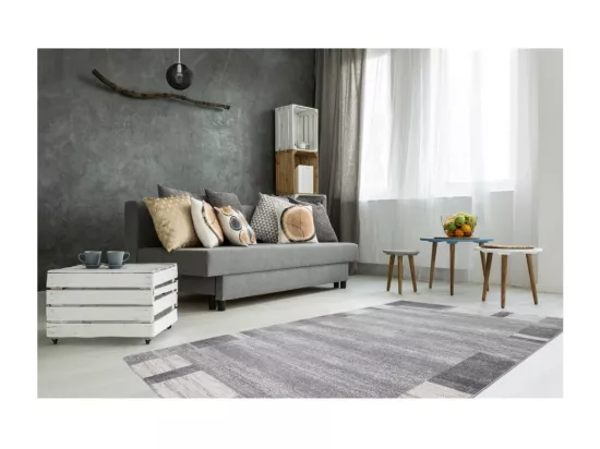 Tapis 290x200cm, design F005G coloris argent - Confort et élégance pour votre intérieur