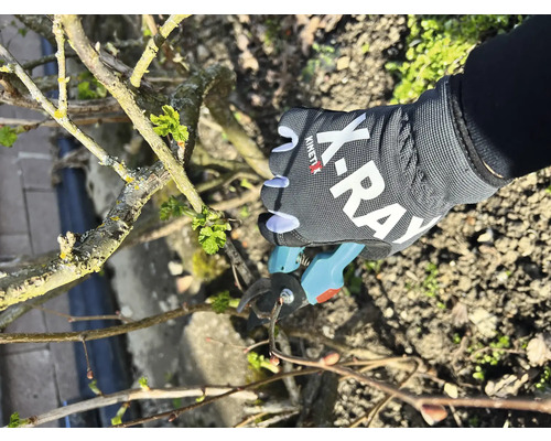 KinetiXx Kinderhandschoenen Werkhandschoenen X-Ray Kids Maat S