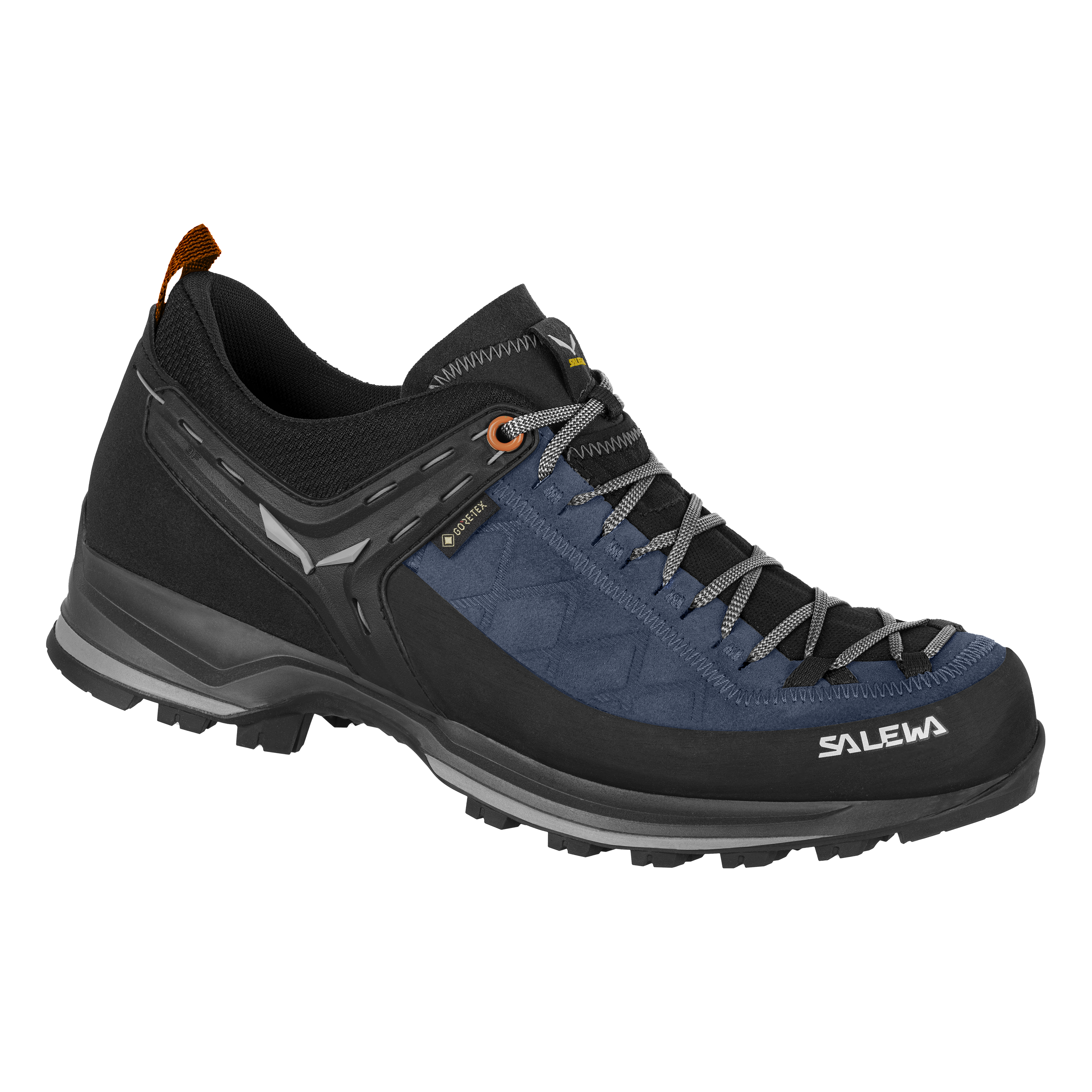 Mountain Trainer 2 GORE-TEX® Herrenschuhe