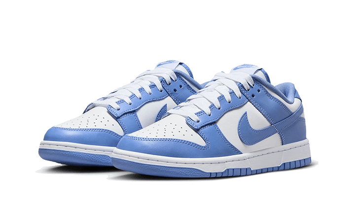 Nike Dunk Low Polar Blue - 48h Delivery