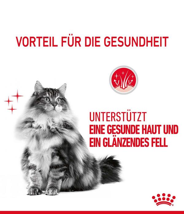 ROYAL CANIN® Trockenfutter für Katzen Hair &