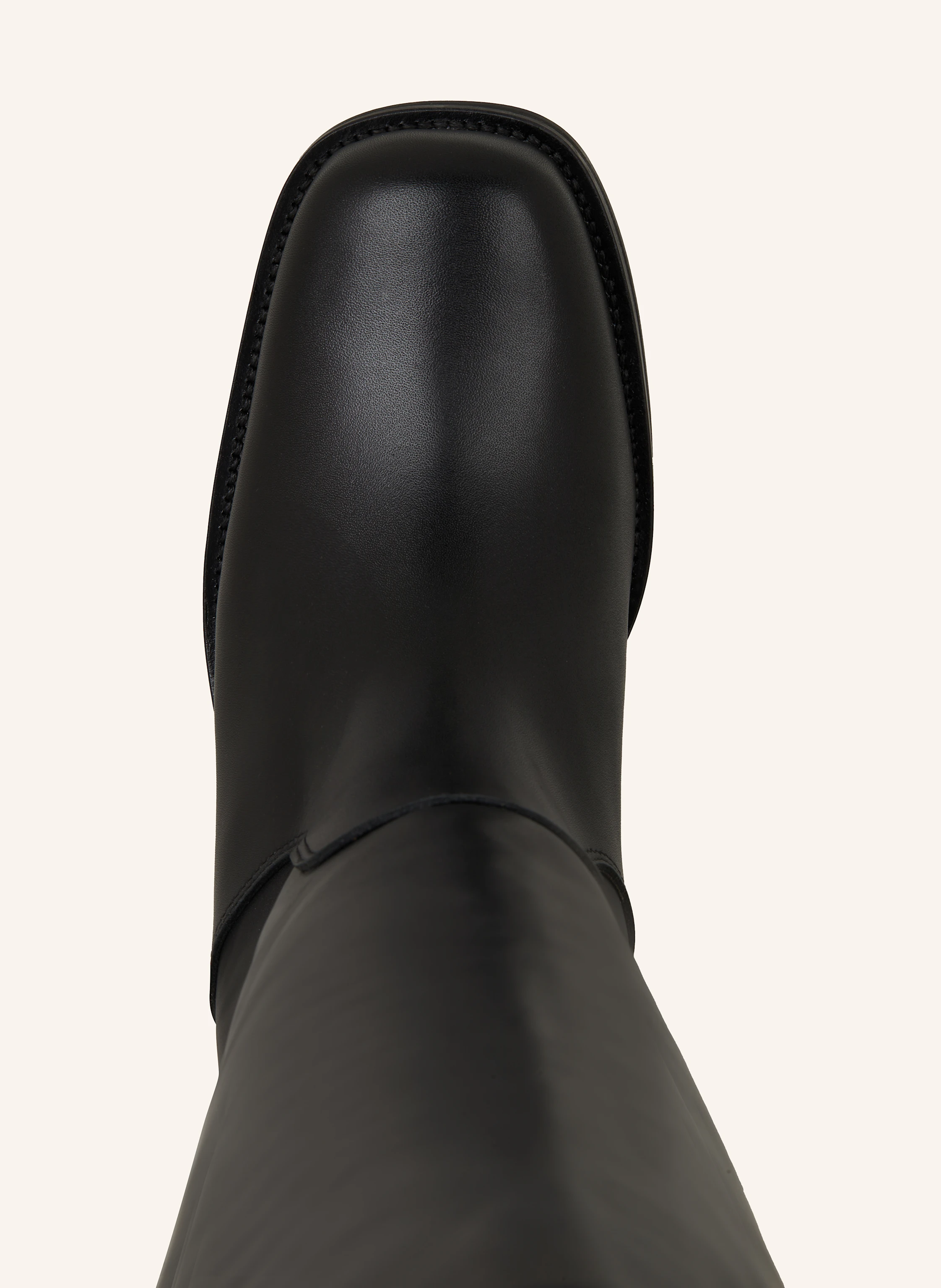 Toral Stiefel