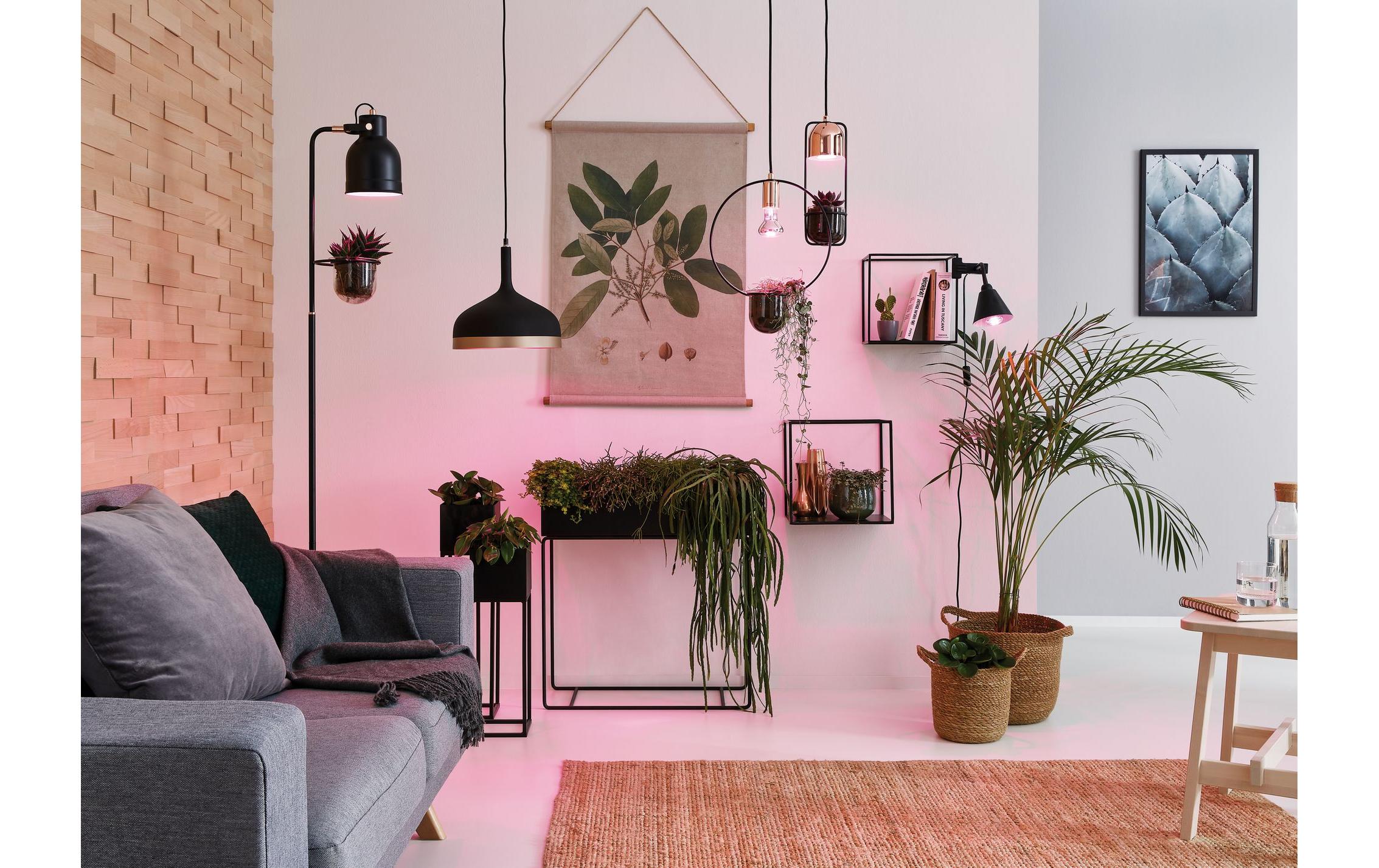 Leuchtmittel Grow Green PAR38 E27, 6.5 WReflektor-Lampe unterstützt das Pflanzenwachstum