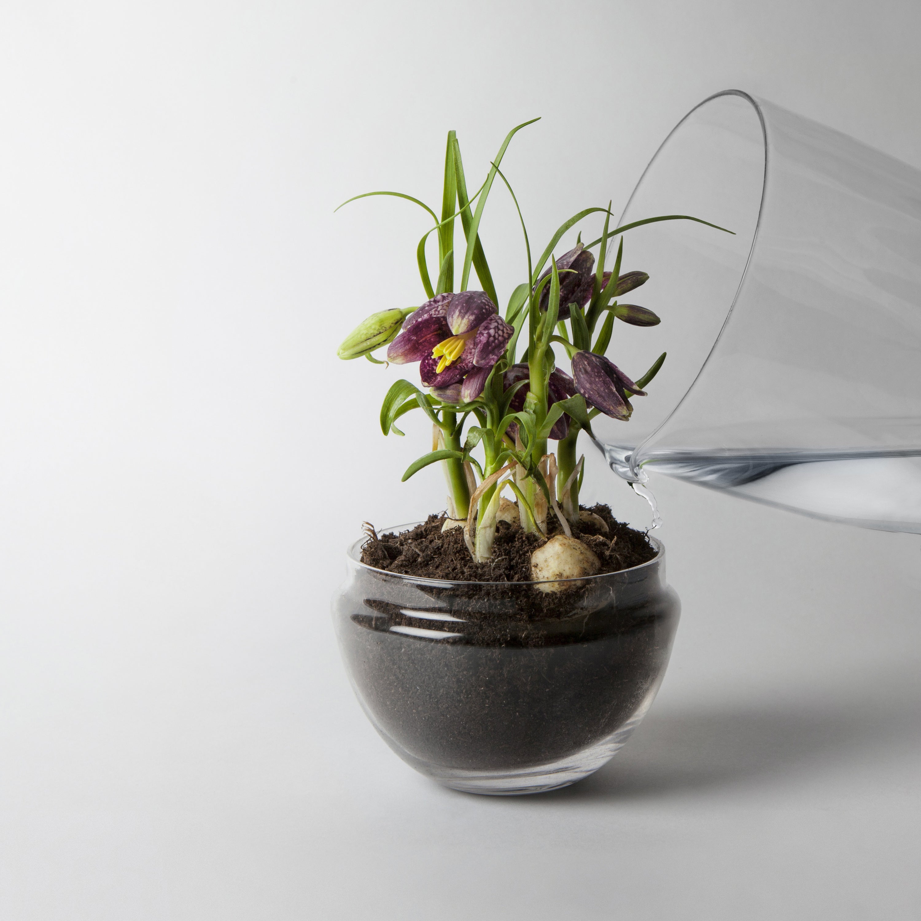 Design House Stockholm Grow Kweekkas
