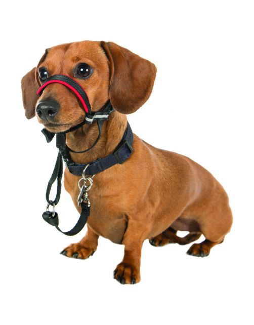 Halti Optifit Headcollar Zwart - Hondenopvoeding