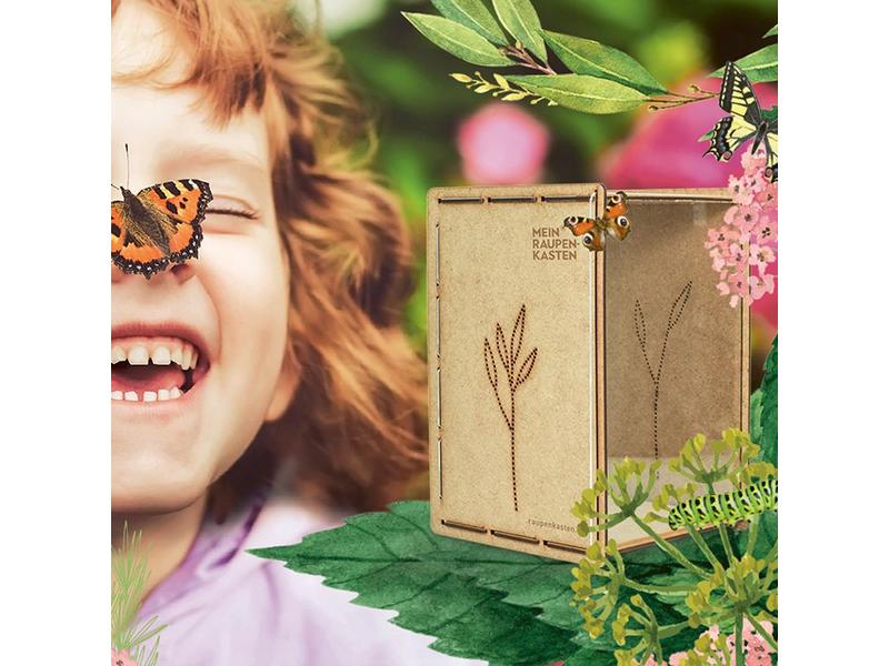 Mein Raupenkasten Insektenhotel Raupenkasten Aufzucht-Box