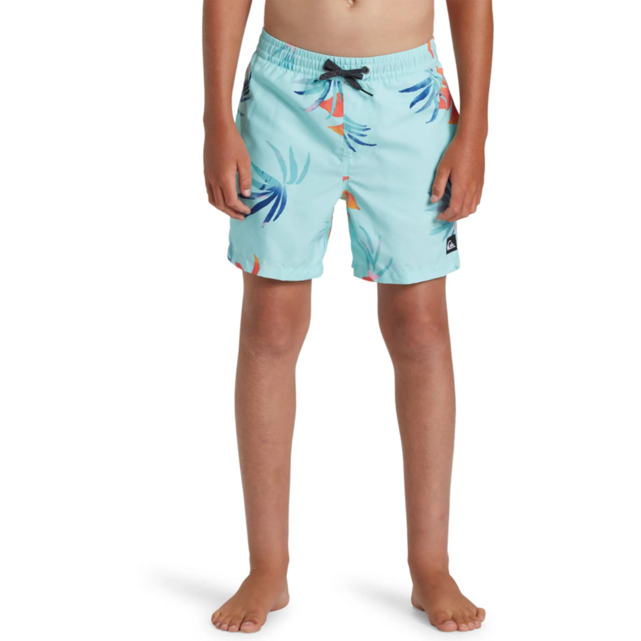 Quiksilver Boarshort Everyday Volley 2-7ans