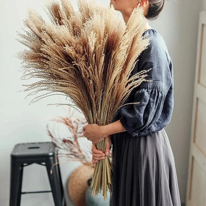 Natural Style Real Dried Pampas Reed Grass | Dried Plants Home Decoration Accessories | Dry Flower Bunch