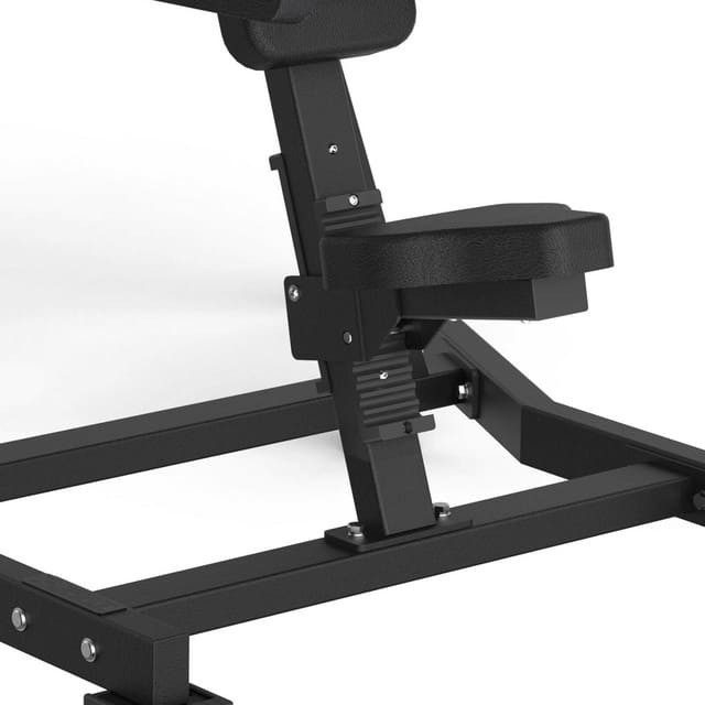 Toorx FWX-6500 Lateral Raise