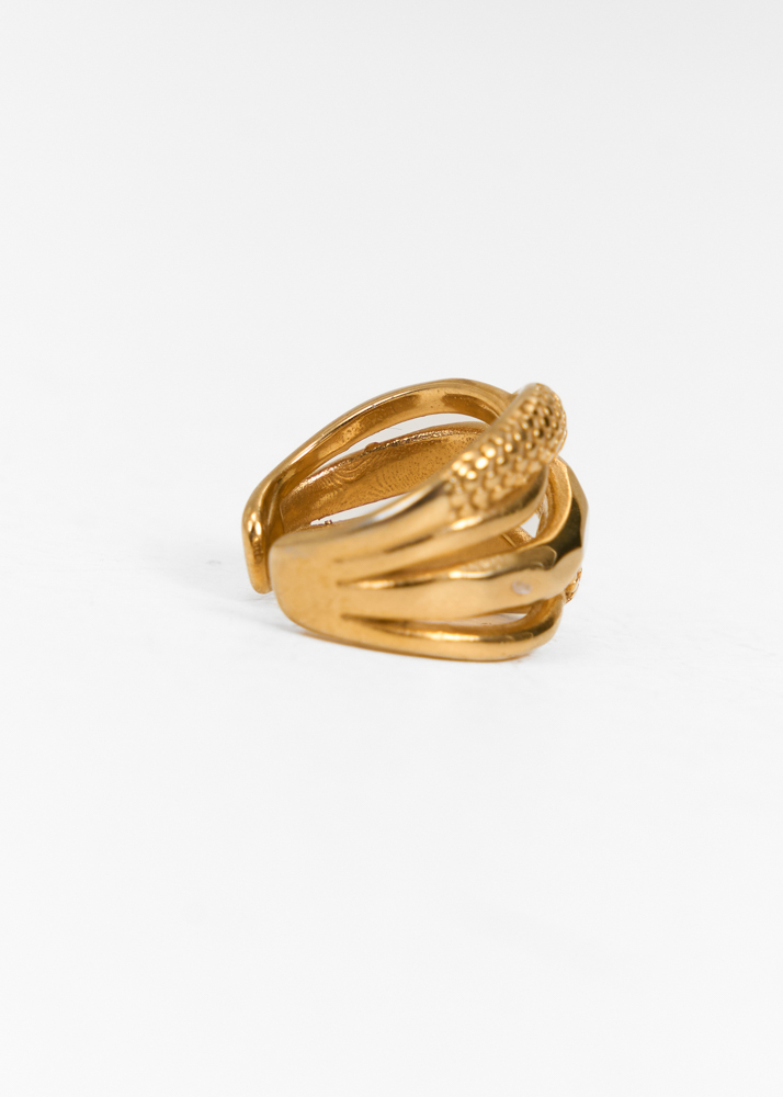 Fien ring goud