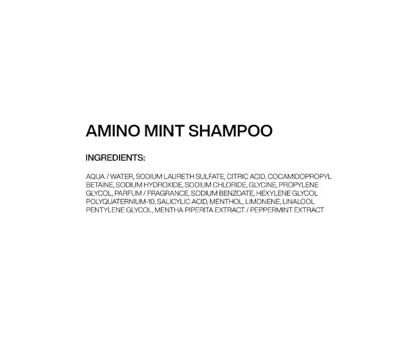 Redken Amino Mint Shampoo