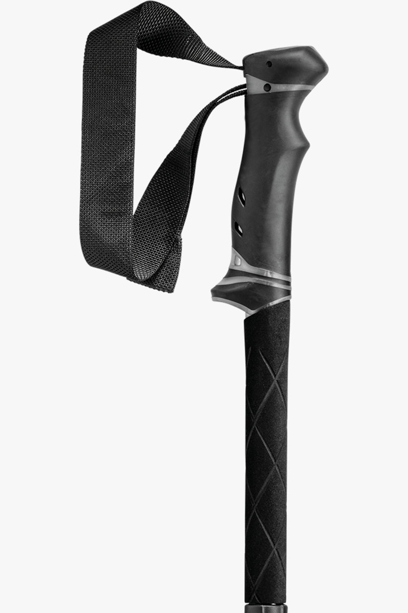 LEKI Legacy FX TA Wanderstock