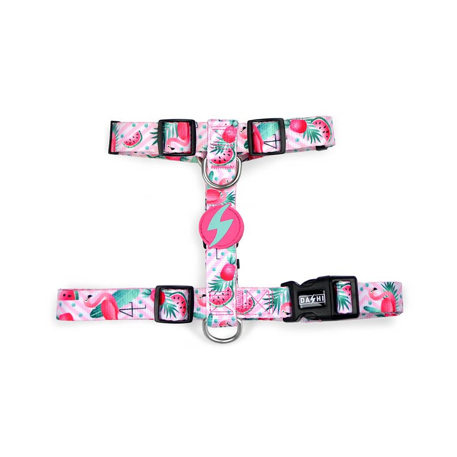 Coleira para cães com estampa de flamingo, diversas cores.