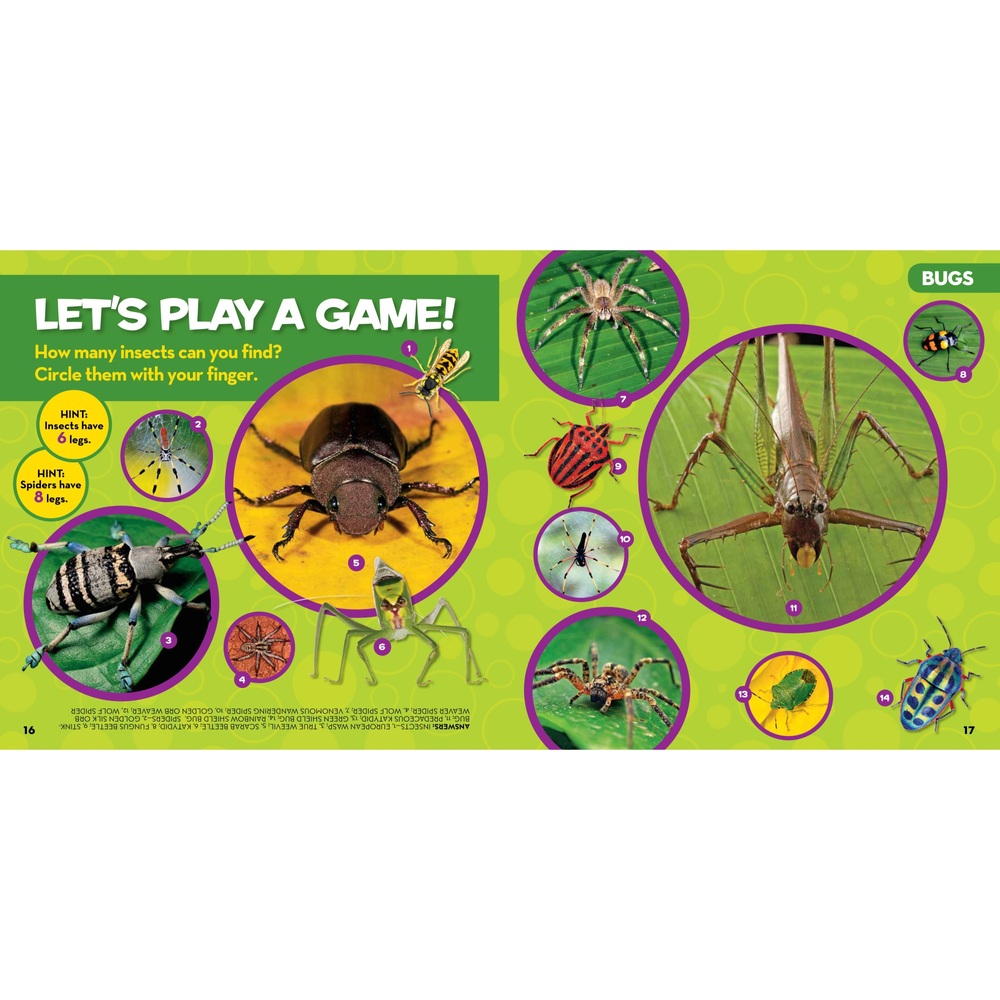 National Geographic Kids: Das erste große Insektenbuch für kleine Kinder (gebundene Ausgabe)