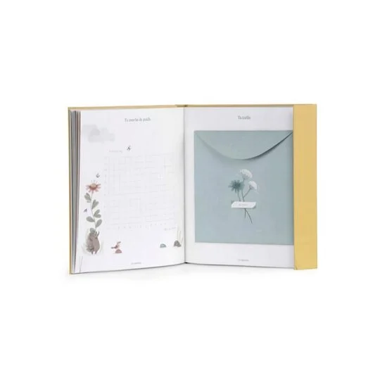 Trois petits lapins Livre de Naissance   80 pages        de               Moulin Roty