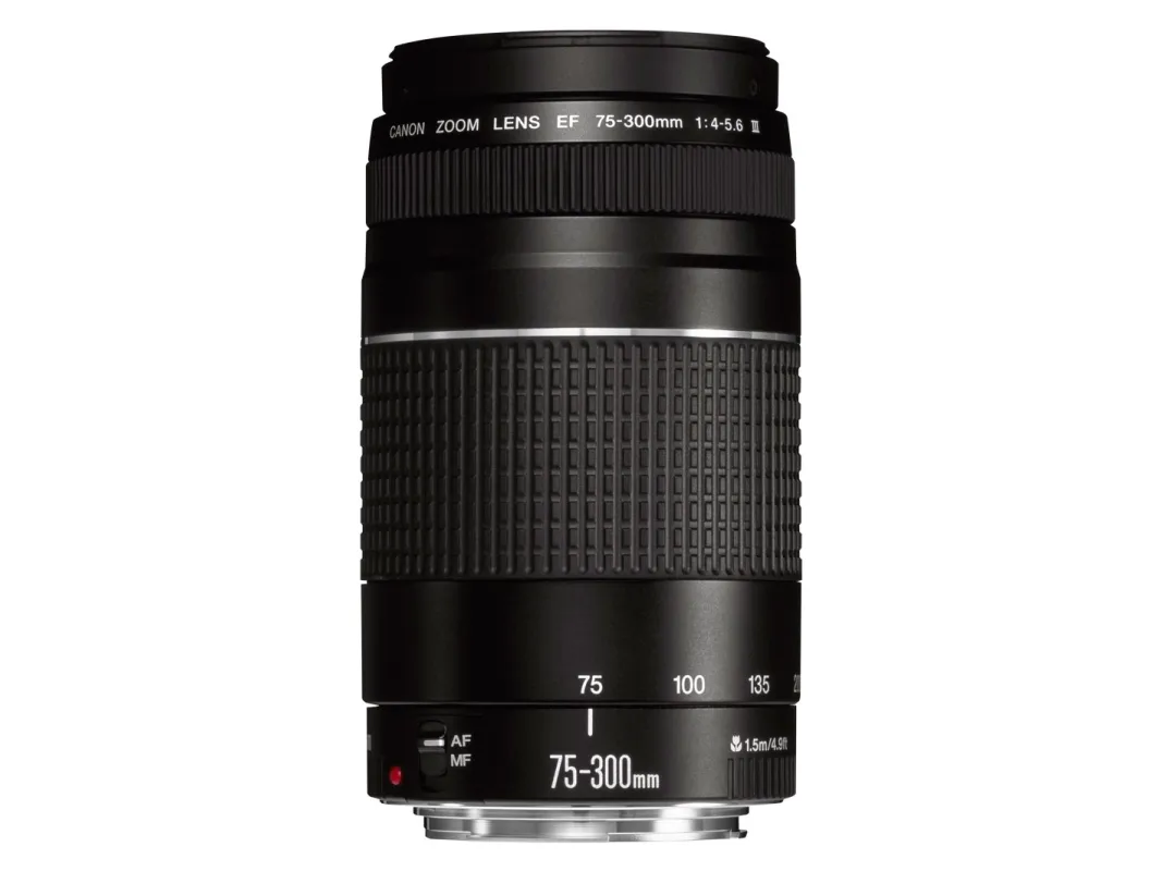 Canon EF - Telefoto zoom objektiv - 75 mm - 300 mm - f/4.0-5.6 III - Canon EF - for EOS 1000, 1D, 50, 500, 5D, 7D, Kiss F, Kiss X2, Kiss X3, Rebel T1i, Rebel XS, Rebel XSi