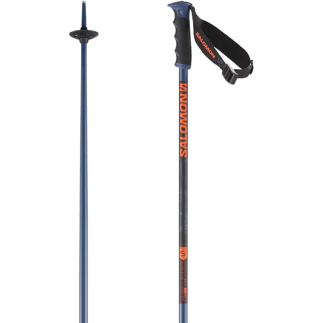 ARCTIC S3  Alpinstöcke Unisex