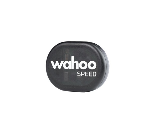 Wahoo