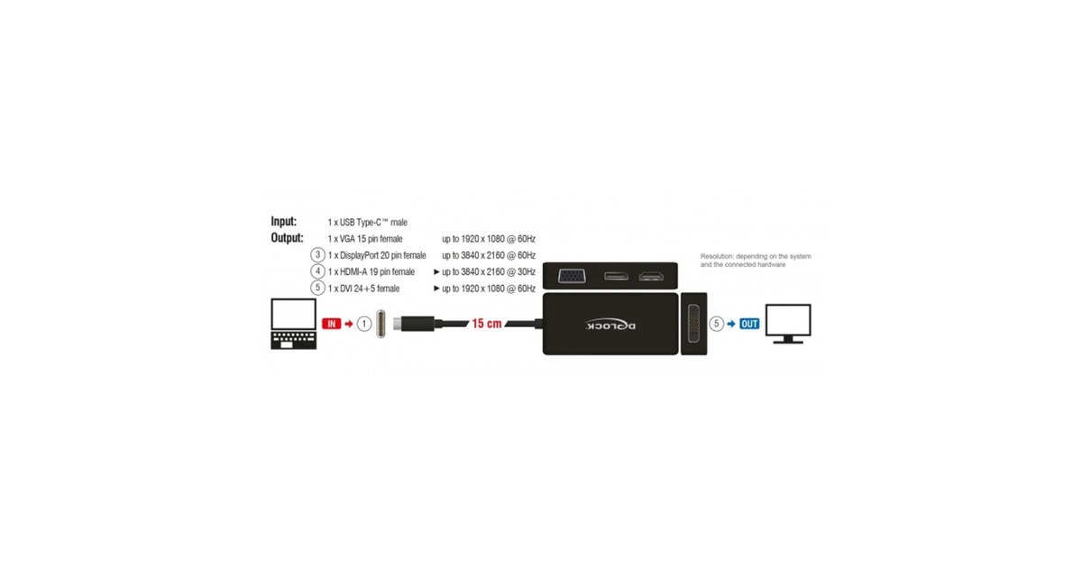 DeLOCKUSB-C > VGA / HDMI / DVI / DisplayPort adapter  (Zwart, 0,15 meter)