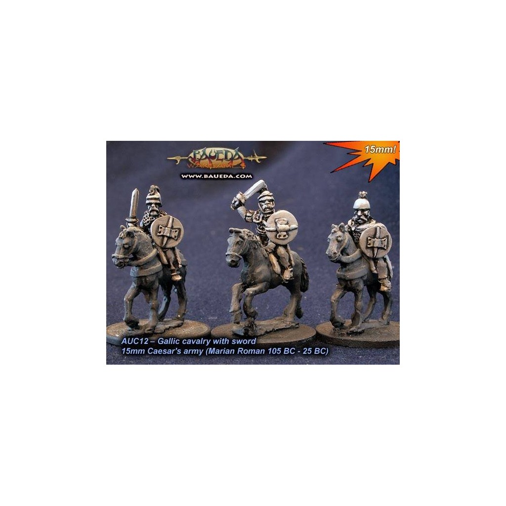 Gallic Cavalry with swords
