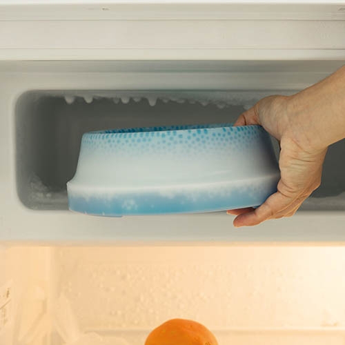 Garrafa de água refrescante IBÁÑEZ para cães e gatos, com capacidade de 550ml.