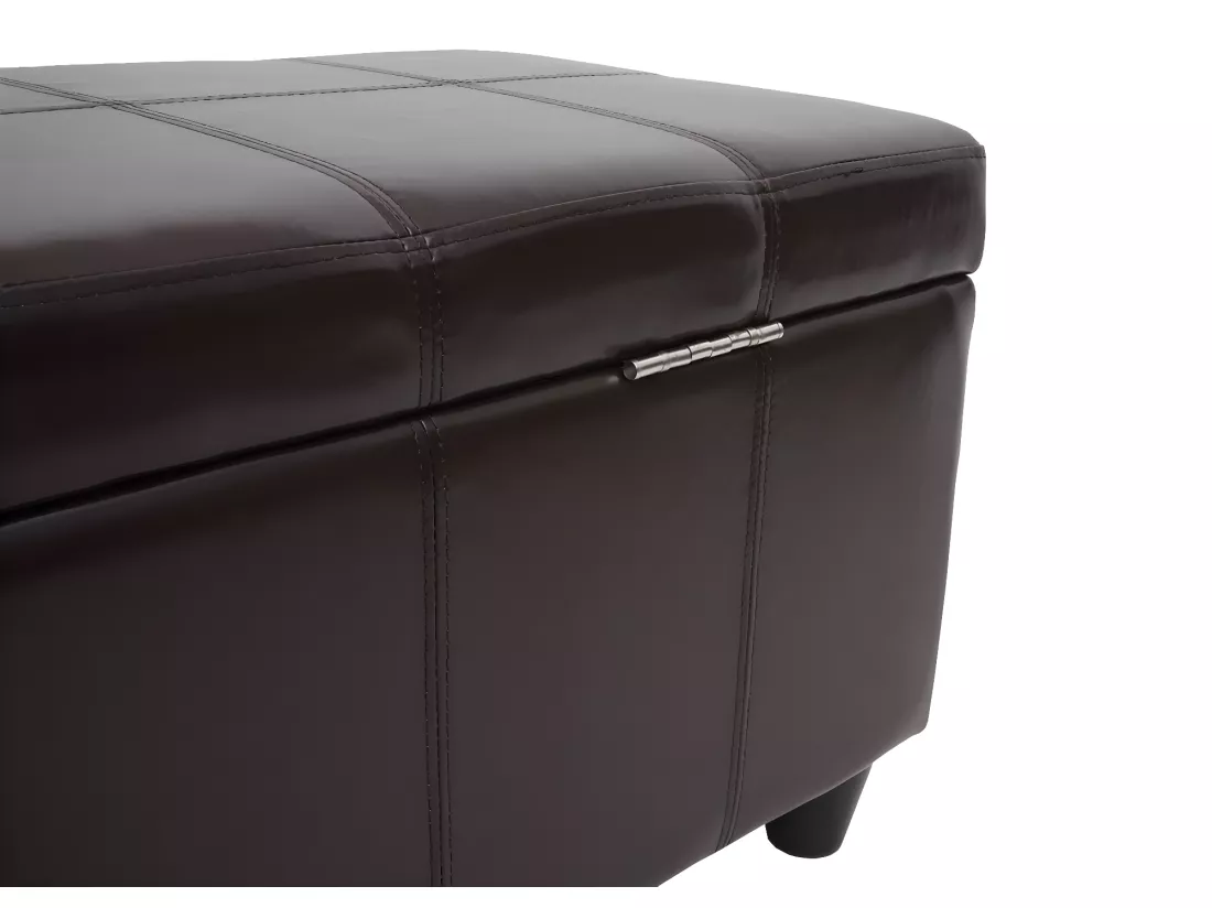 Coffre de rangement Kriens, marron