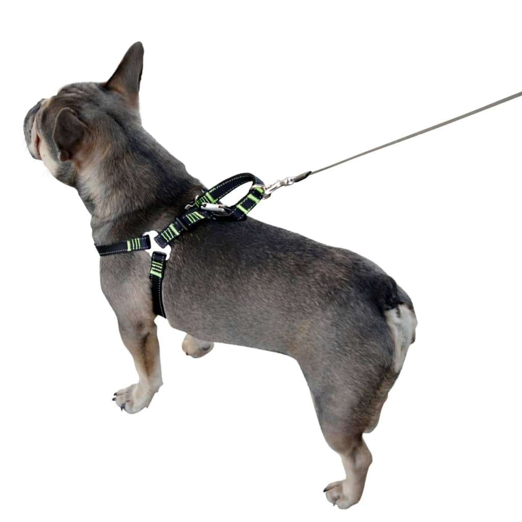 Arnês para carro para animais de estimação