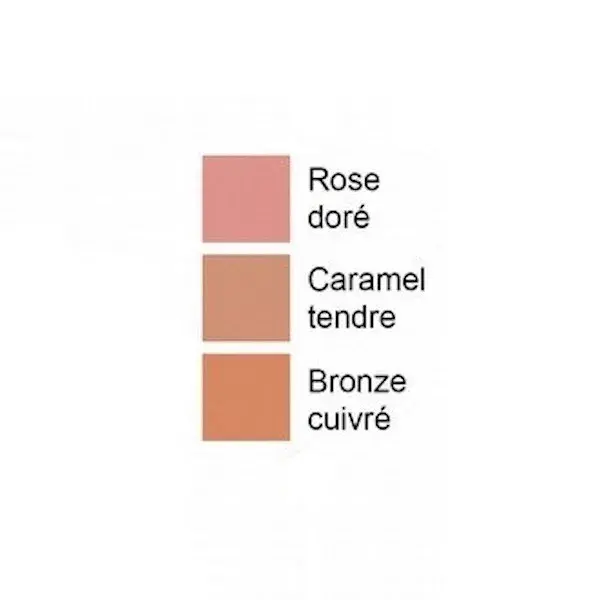 Blush La Roche Posay Toleriane Nº 02 Ouro Rosa 5g
