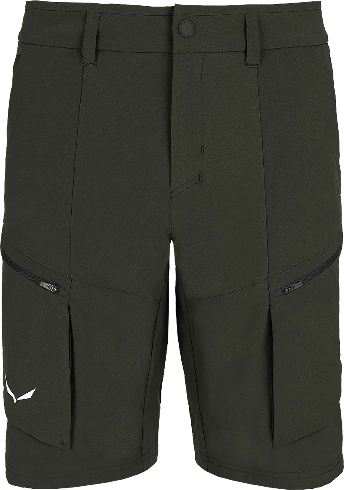 Puez DST M Cargo Shorts