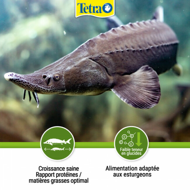 Alimentation Tetra Pond Sterlet Sticks pour poissons de bassin