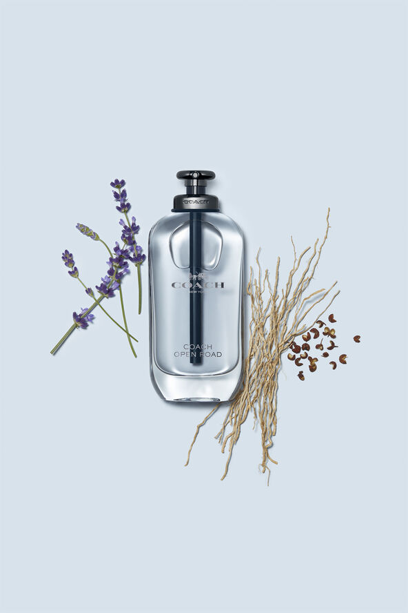 Coach Coach Open Road Eau de Toilette
