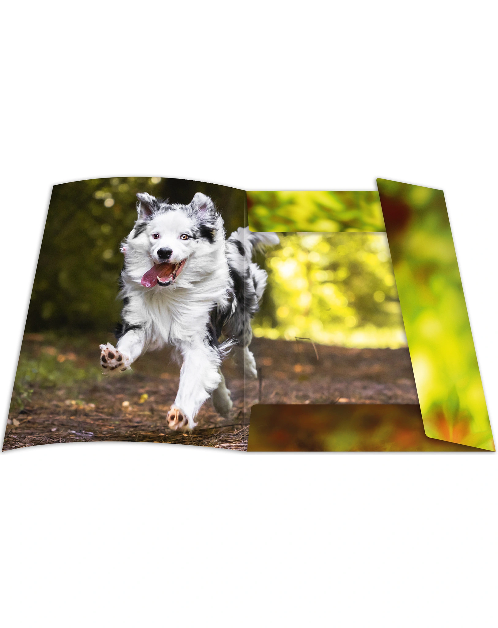 Zeichenmappe BEST FRIEND (31x44) A3