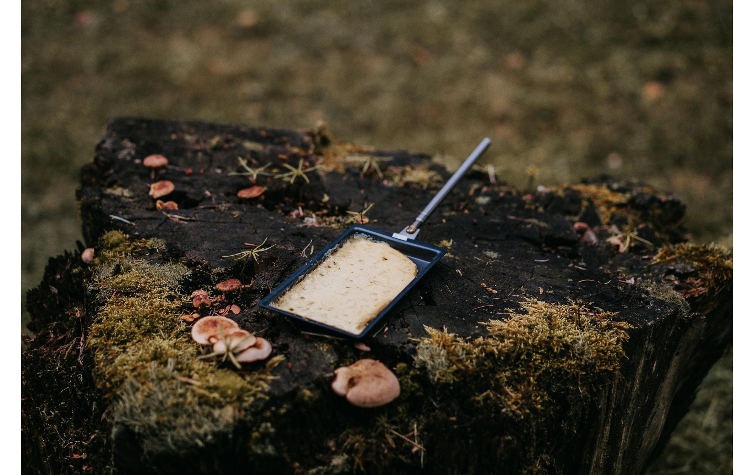 Kadastar Raclette »Explorer 6-teilig«