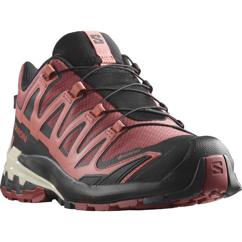 Salomon Damen Xa Pro 3D V9 GTX Schuhe
