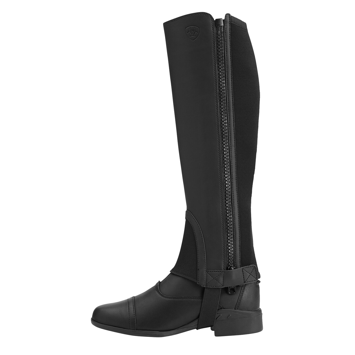 ARIAT Chap Scout  - black