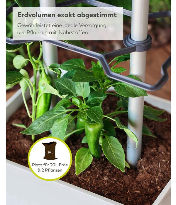 Gusta Garden Chili-Pflanztopf Charly Chili XL,