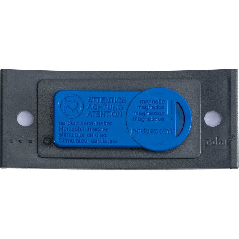 Badge Polar Avery avec aimant 30 x 70 mm - Paquet de 10