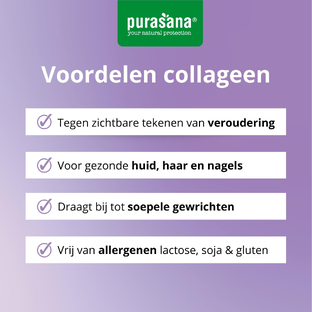 Purasana Beauty Collageen Poeder met Hyaluronzuur - Braambes 240GR