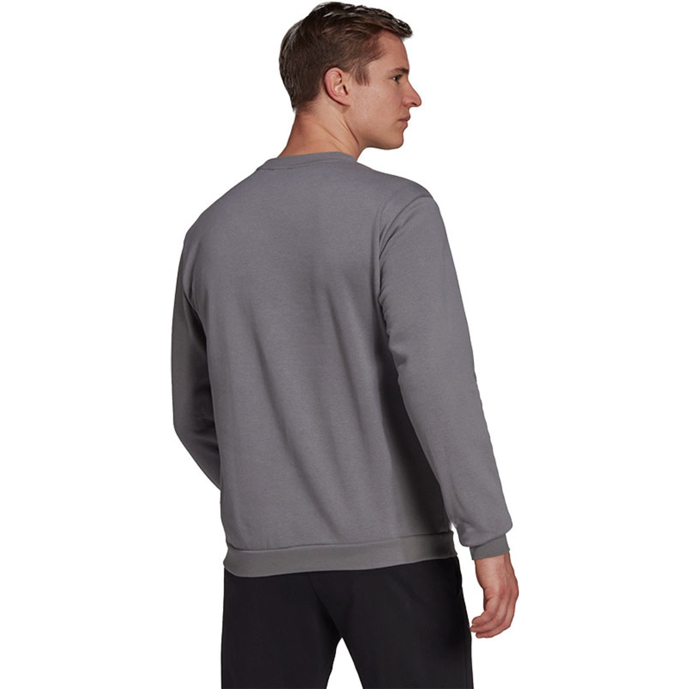 Adidas Entrada 22 Crew Sweater Grijs Wit