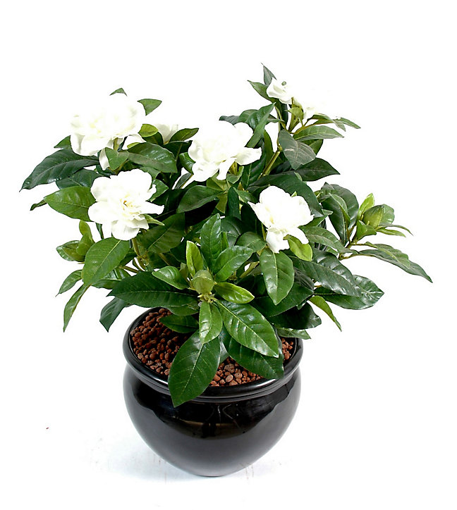 Pot Gardenia artificiel