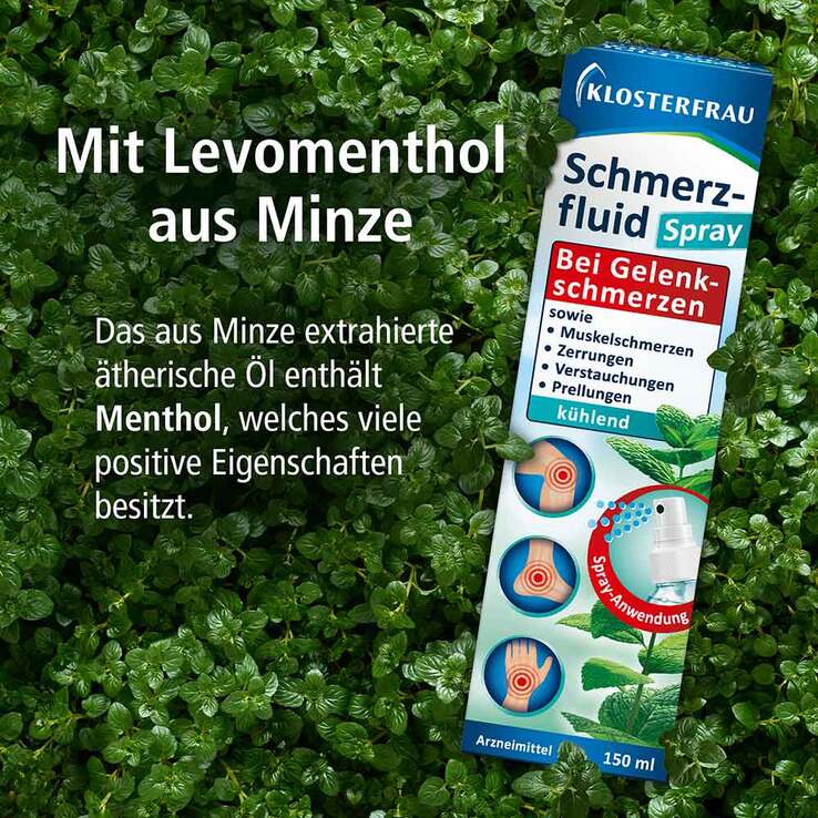 Klosterfrau Schmerzfluid Spray, 150 ml