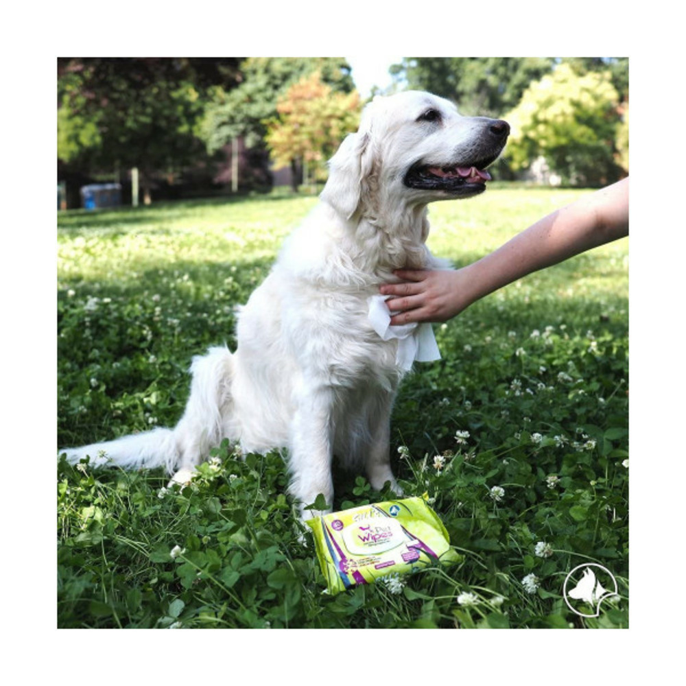Lingettes humides pour animaux domestiques xl 40 uds 30 x 20 cm